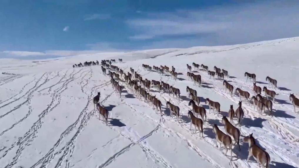 新华视点｜守护绿水青山 多元实践共筑生态环保新图景