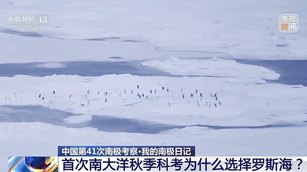 我国首次南大洋秋季科考为什么选择罗斯海?