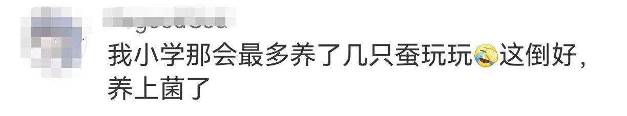 “这是什么东西？”家长傻眼：孩子竟然要养它？