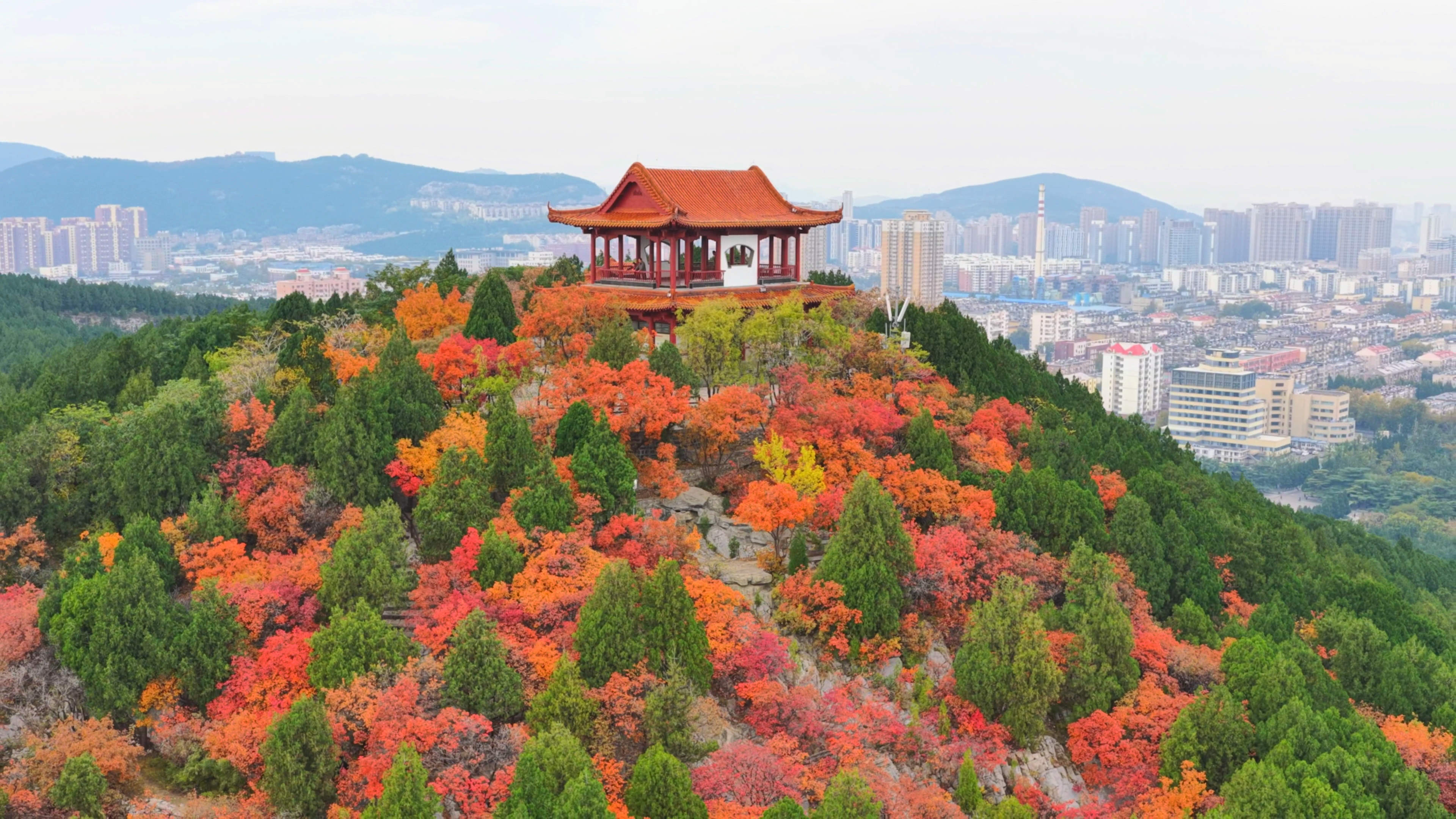 赏秋正当时!未来三天山东天气晴好,3日开始气温缓慢回升