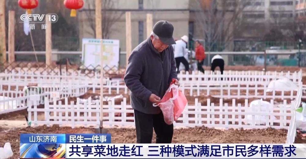 央视：济南“共享菜地”走红 三种模式让市民体验农耕乐