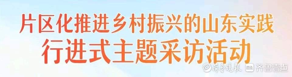 山东破题片区化:乡村“手拉手” 共富路“步步宽”