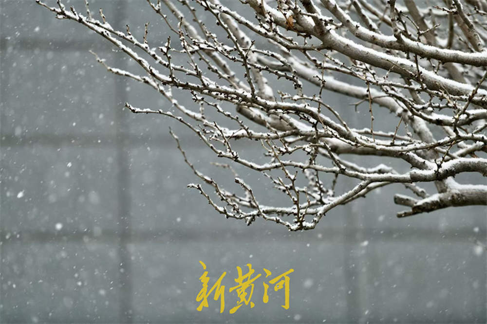 泉城喜披银装！今年入冬以来首场降雪翩然而至