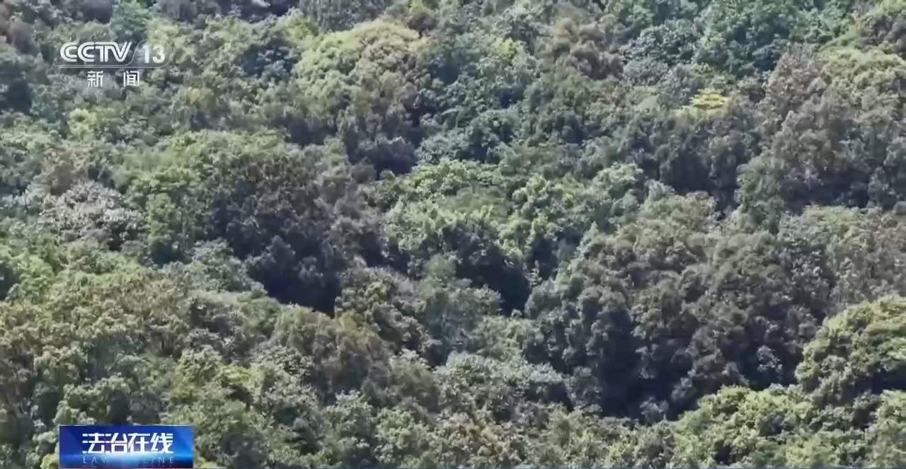 千人进山、警犬追踪 多方合力搜寻13天找到失联男童