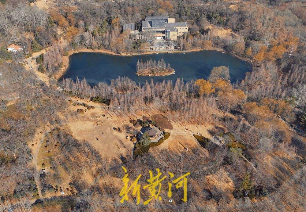 “泉”在济南冬游记｜济南森林公园冬䪨如诗