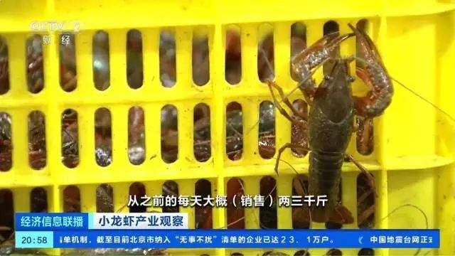 价格大跳水,下跌50%!接下来还会降