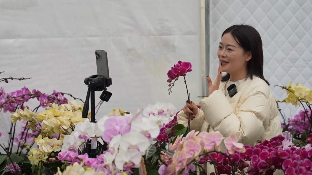 小城大市｜花开“富贵”：一座西部县城的鲜花经济跃迁之路