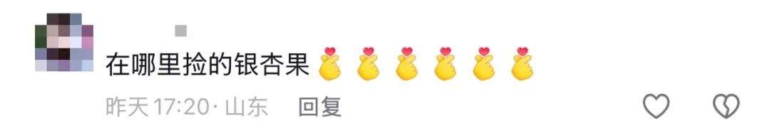 别吃，银杏果有毒！近期济南大量出现，很多人去捡……