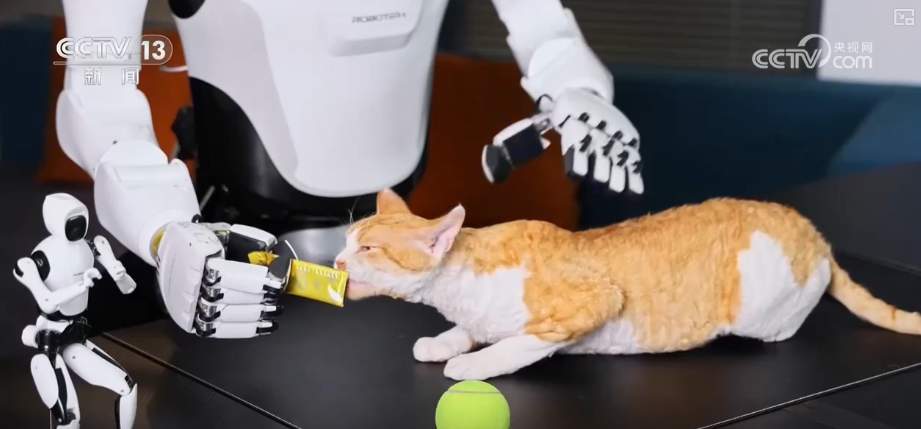 人形机器人应用场景遍地开花 催生消费新业态