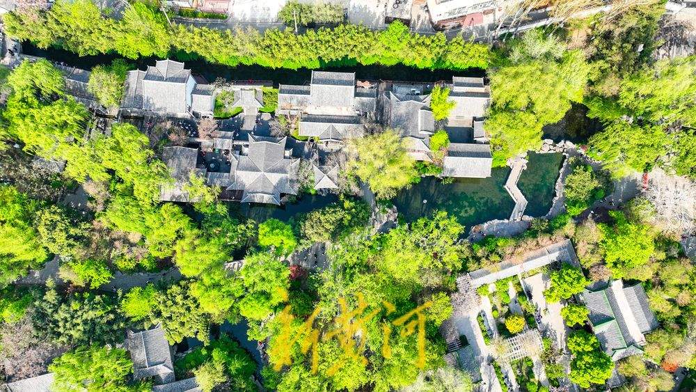 泉在济南过五一假期济南泉水游火爆三股水畔人潮涌动