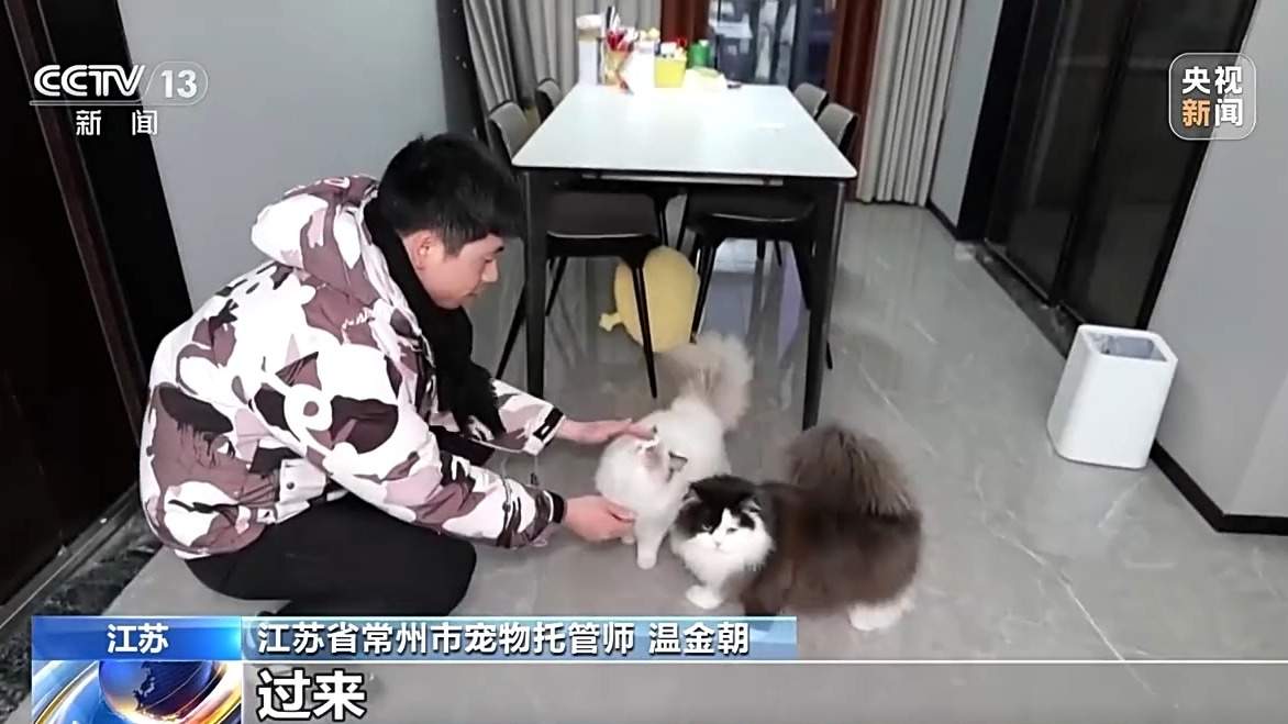 寄养一房难求、上门喂养走红 宠物经济成春节消费亮点