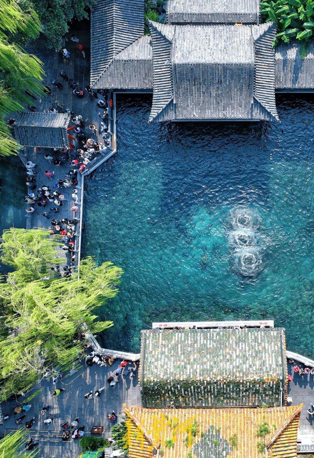 济南趵突泉欢畅喷涌，30.29米刷新近60年以来最高水位