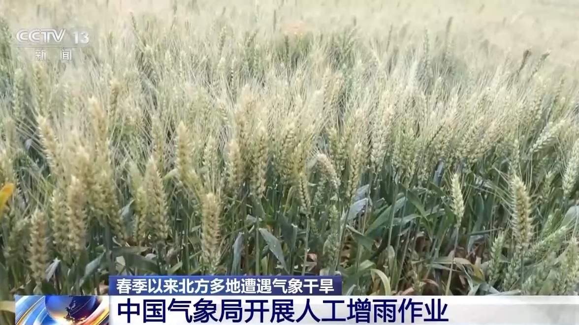 增加降水约5亿吨 多地开展人工增雨作业缓解旱情