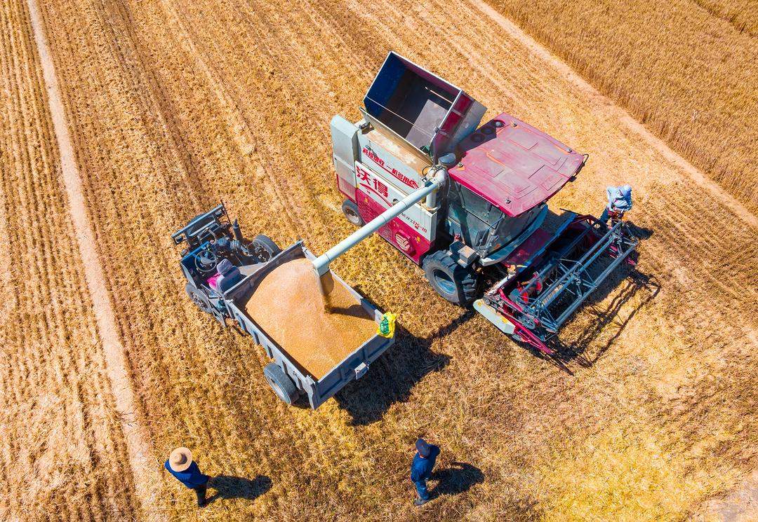 山东好景｜“丰”景里的开心笑容