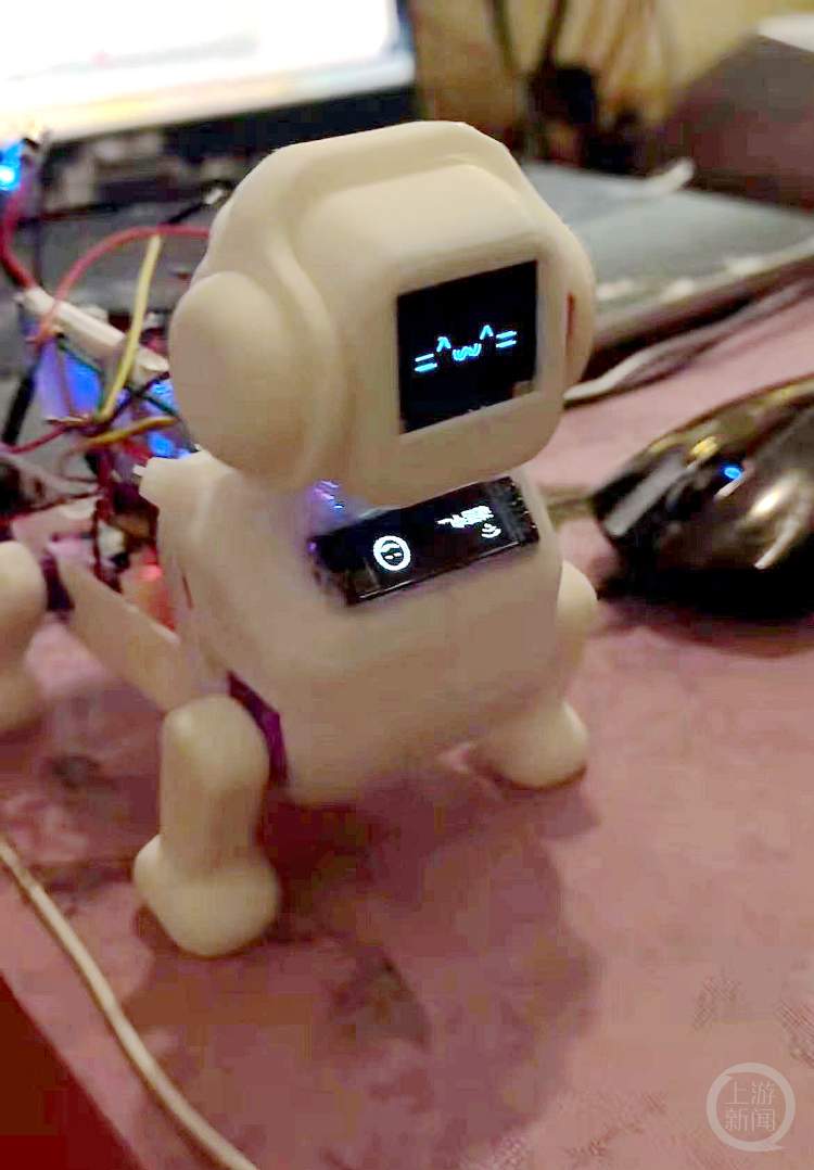 小伙自学编程造出“赛博小狗” 网友纷纷“求定制”