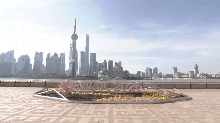 时政微纪录丨习近平总书记上海行
