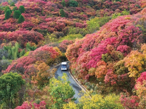 旅游淡季热度仍不减错峰休闲赏秋正当时