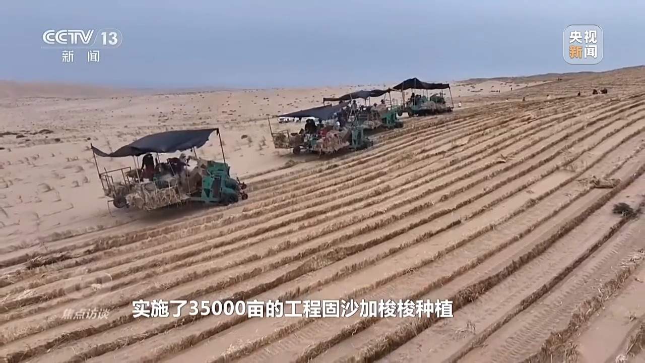让荒漠添绿又生金 看“三北”的生态蝶变