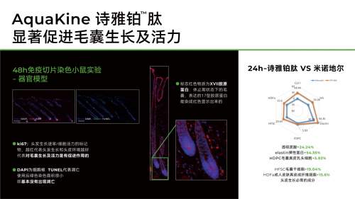 炎症+胶原流失：晶泰诗雅铂肽（AquaKine™）如何重构头皮健康生态？