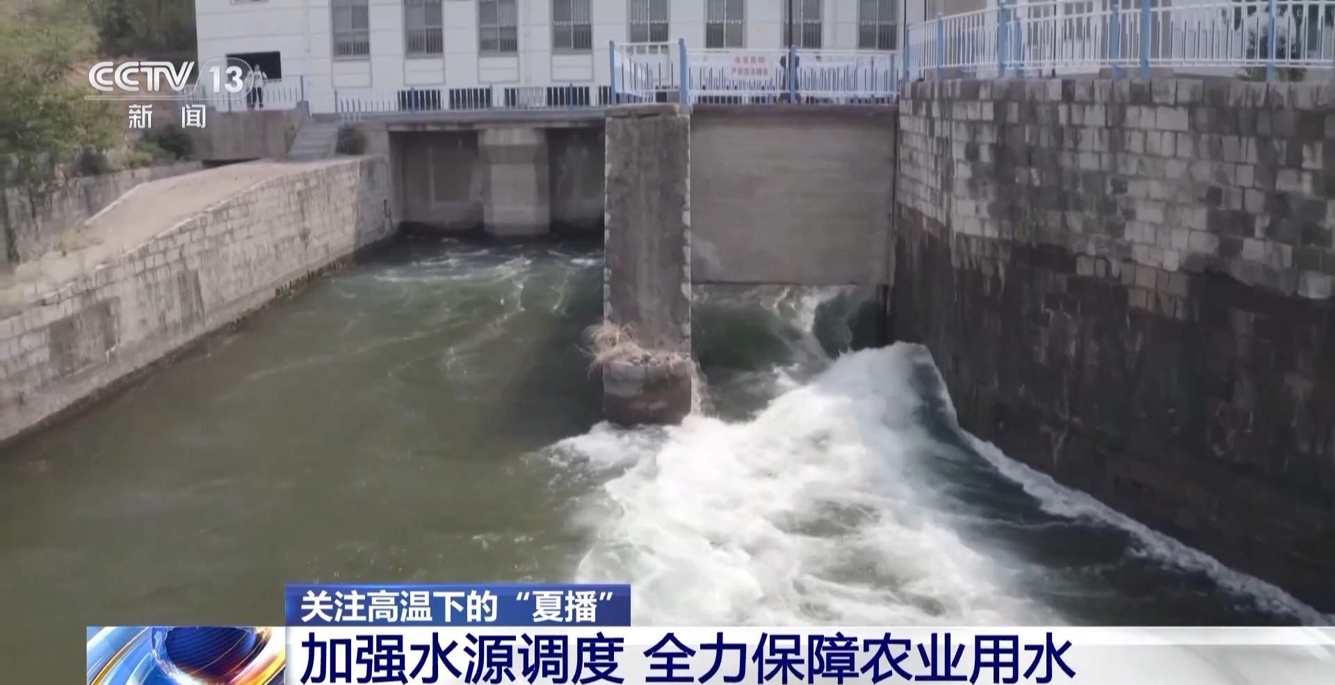 夏播遭旱情 各地全力调水确保“种足种满”