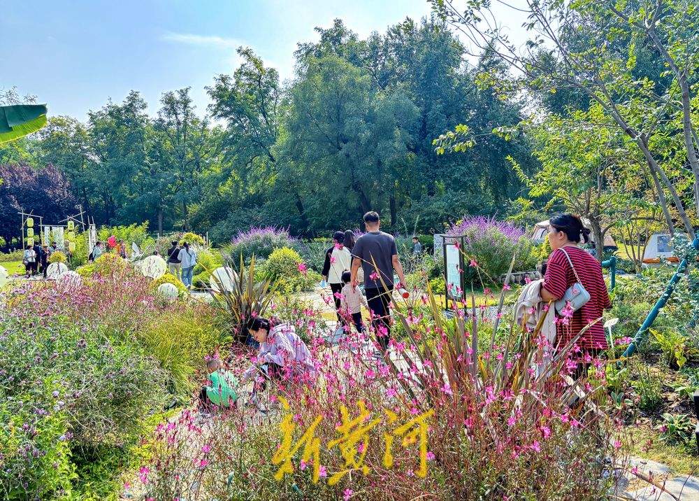 明迎“寒露”不算“寒”，本周济南平均气温较常年同期偏高