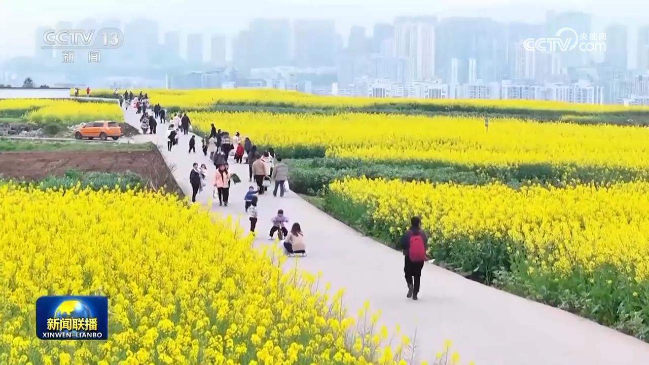 踏青赏花 乐享春日好时光
