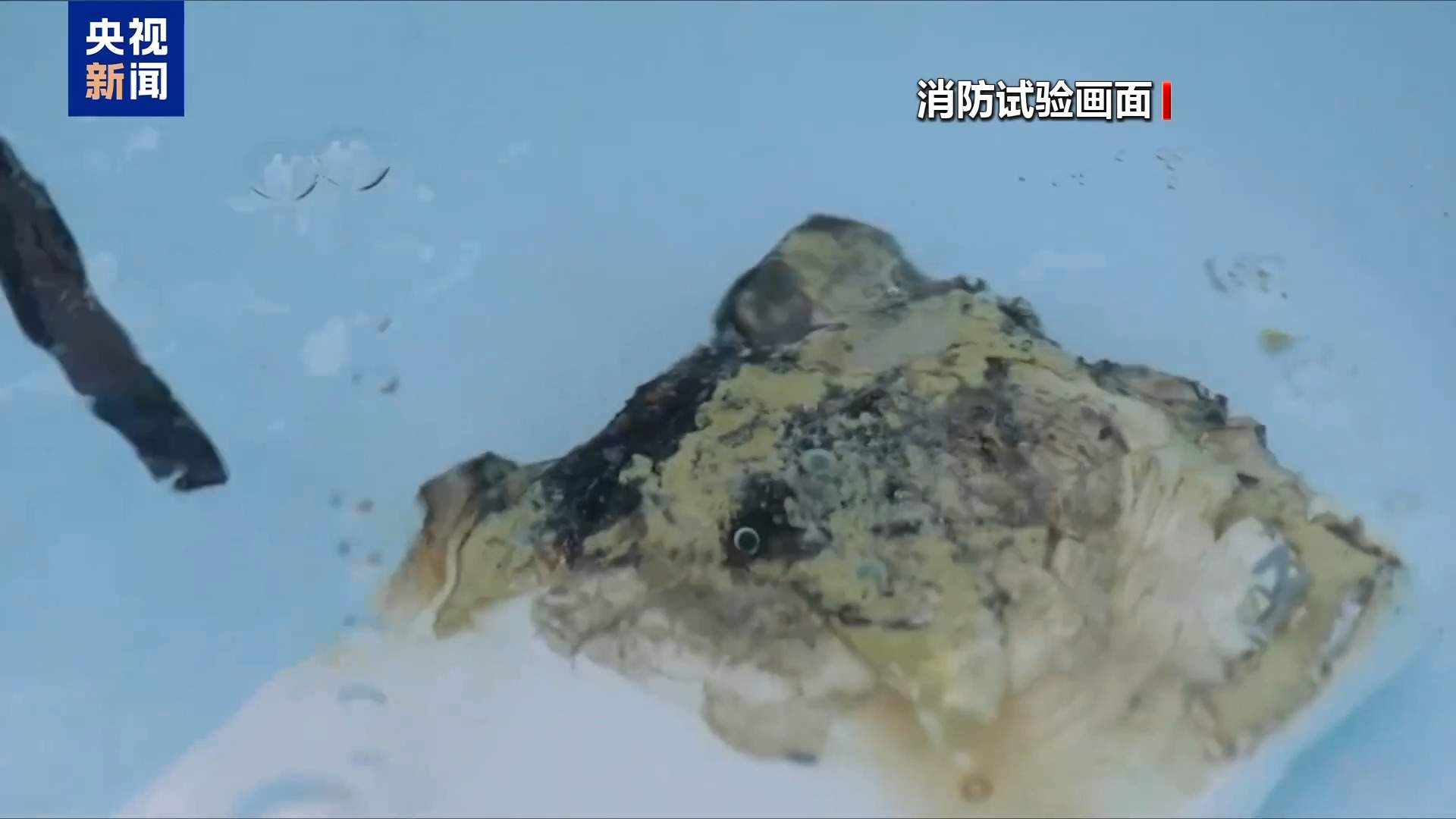 警惕!充电宝变“随身炸弹” 这些事千万别做