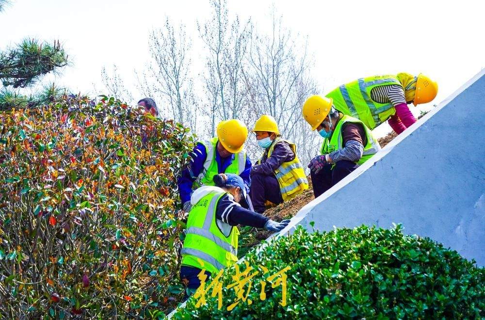 济南地铁4号线泉城公园站出入口绿化更新,打造“会呼吸”的地铁口