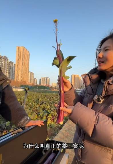 吃了能成仙？两根菜薹喊价18888元！商家回应