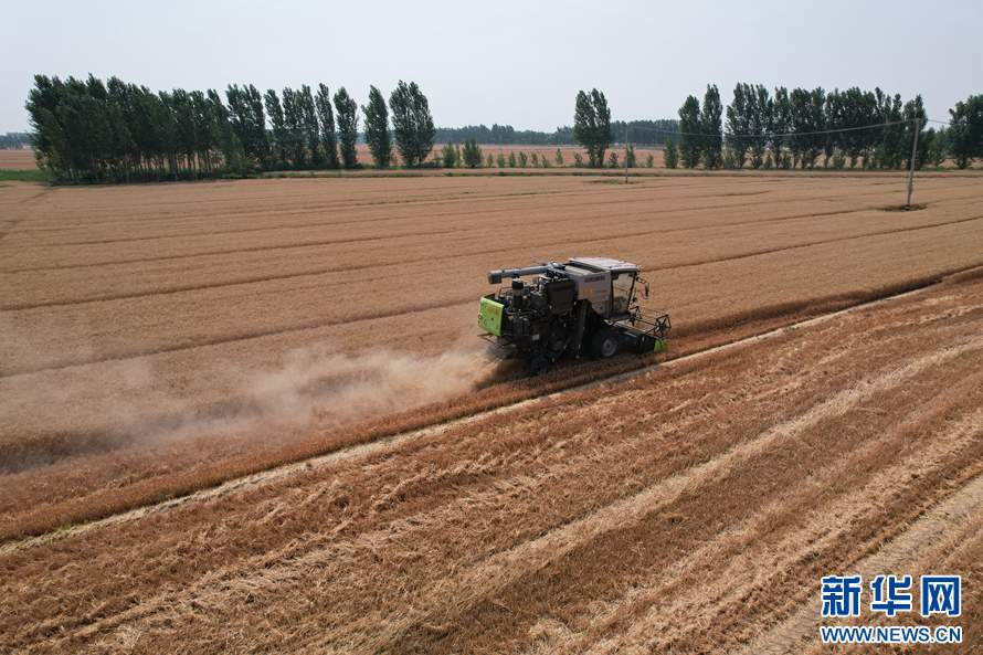 未来希望之城，为何下大力气做一篇粮食文章？