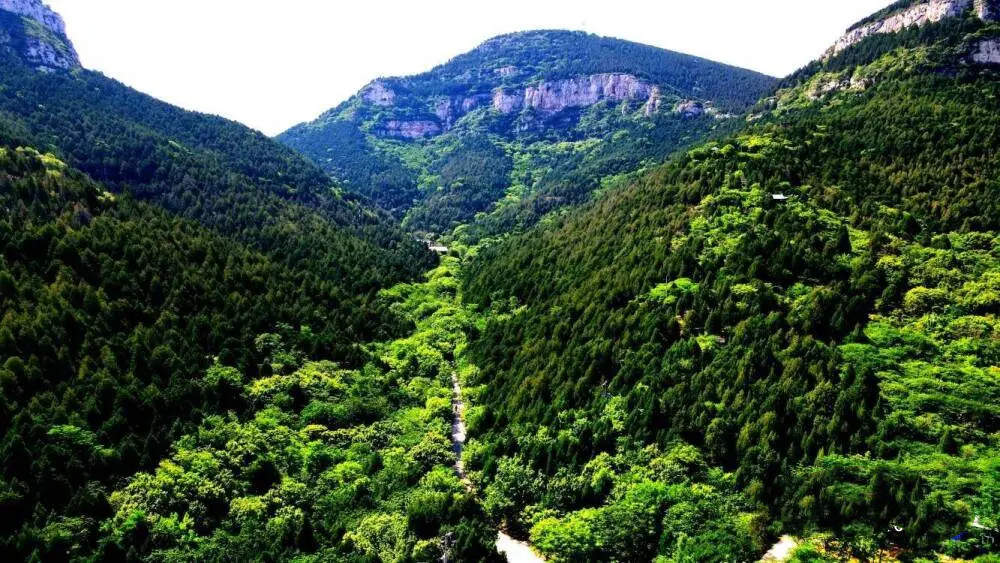 济南发现全球新记录蜗牛物种，命名为佛慧山华蜗牛