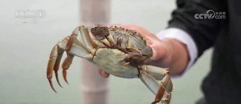 “菜篮子”量足价稳、鲜花市场备货忙 各地多举措保障节日市场供应