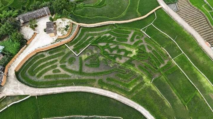 主打松弛感和性价比的“县域乡村游”如何火下去?