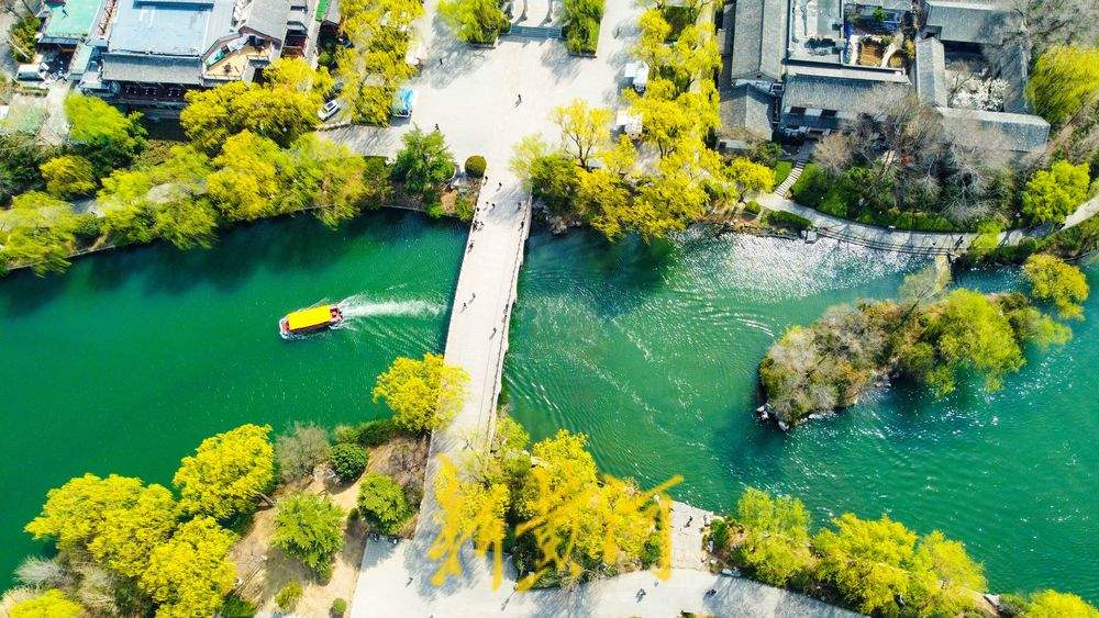 垂柳泛绿与碧水相伴，大明湖春色逐渐浓郁