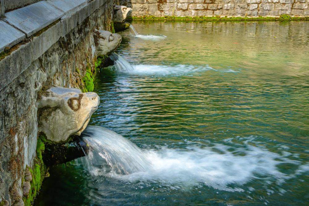 抓住雨水到来的机会“长个儿”！趵突泉雨后“三连涨”
