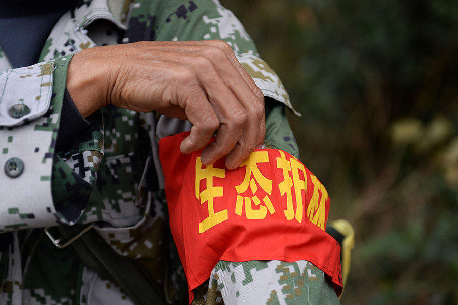 学习进行时｜“人不负青山，青山定不负人”