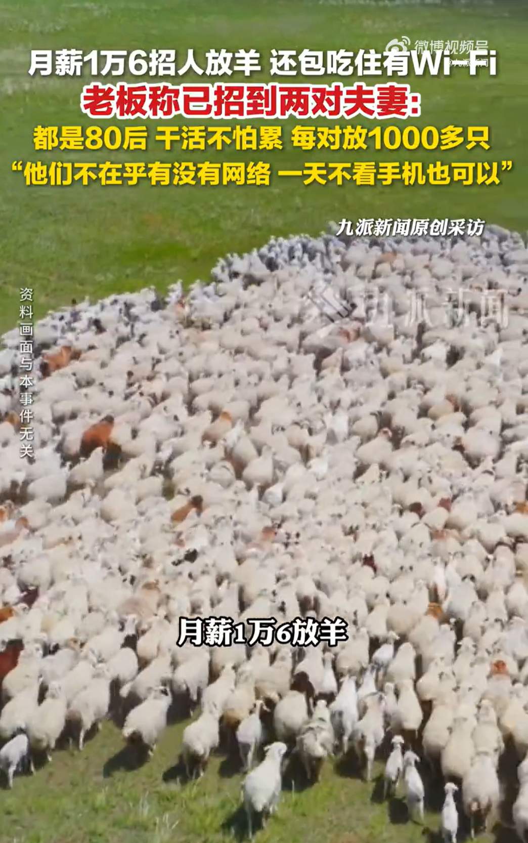 “月薪1.6万招羊倌”老板最新回应：已有两对夫妻试岗，都是80后，可以一天都不看手机