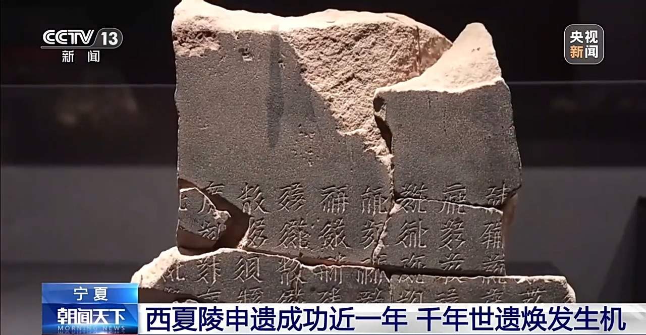 申遗成功近一年 西夏陵从遗址瑰宝变身沉浸式文旅打卡地