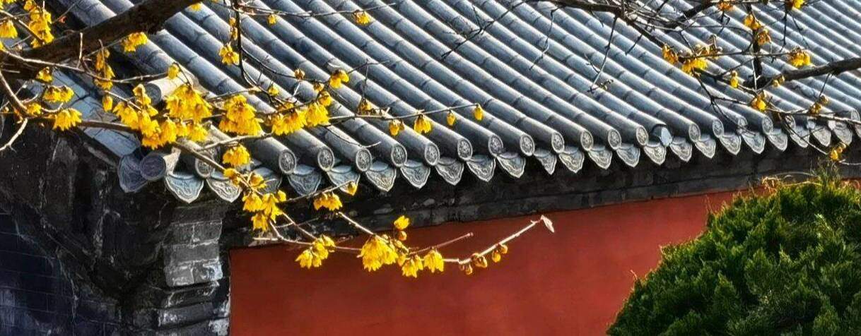 春入泰山普照寺