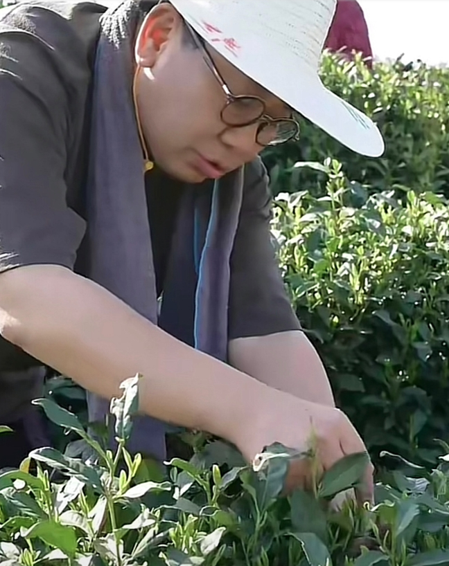 杜国楹：以慢制胜的茶道人生