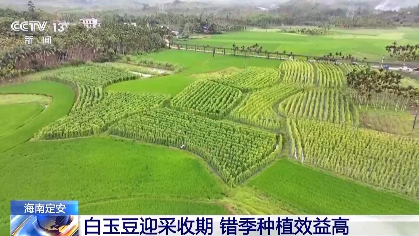 抢抓农时 各地按下春耕备耕“加速键”