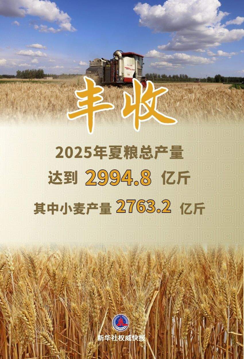 2994.8亿斤！2025年夏粮“成绩单”出炉