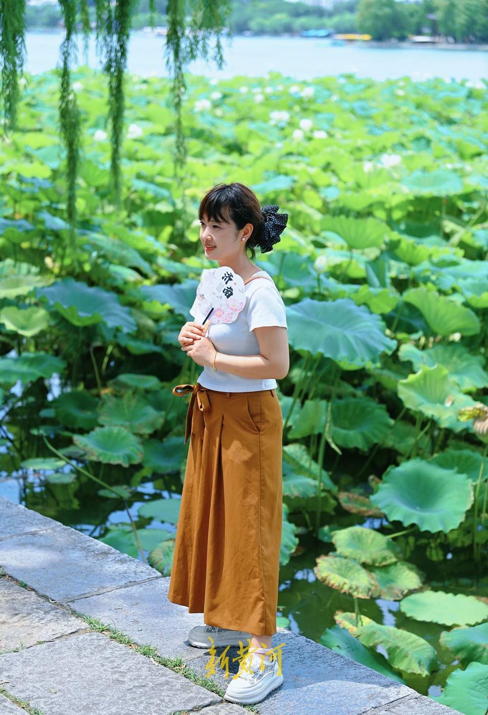 一年四季 泉在济南｜泉城高温持续，游客大明湖畔赏荷避暑享惬意