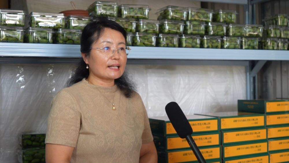 金秋丰收绘新景 乡村振兴谱华章