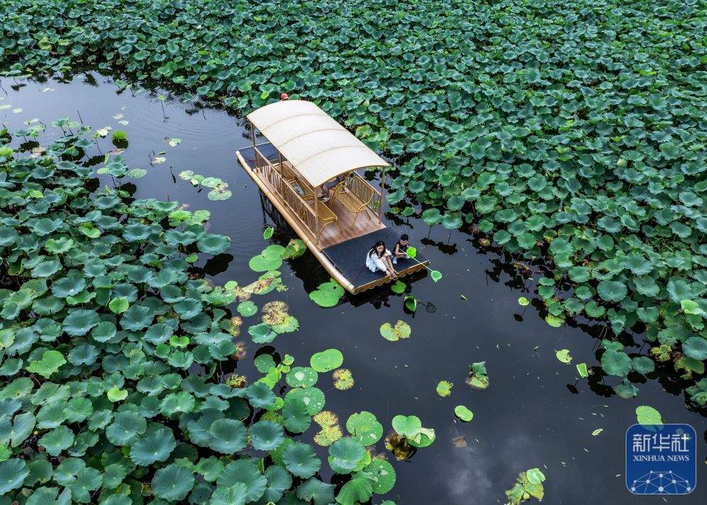 暑期出游正当时