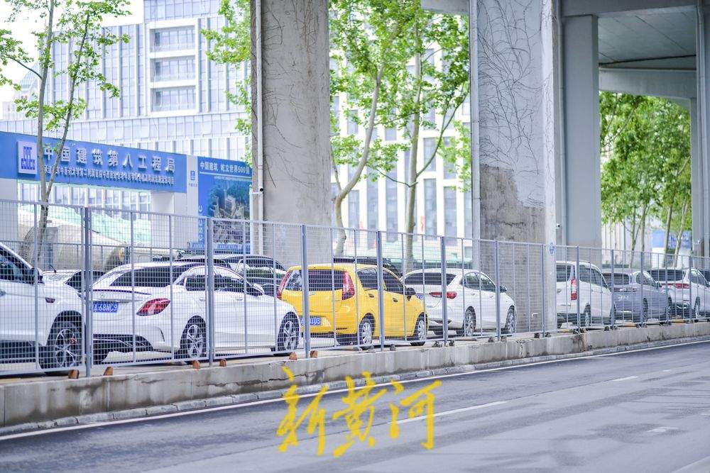 青年西路顺河高架下绿化带改为停车场