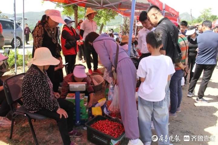 济南南部山区柳埠街道第17届大樱桃采摘文化旅游节正式开幕