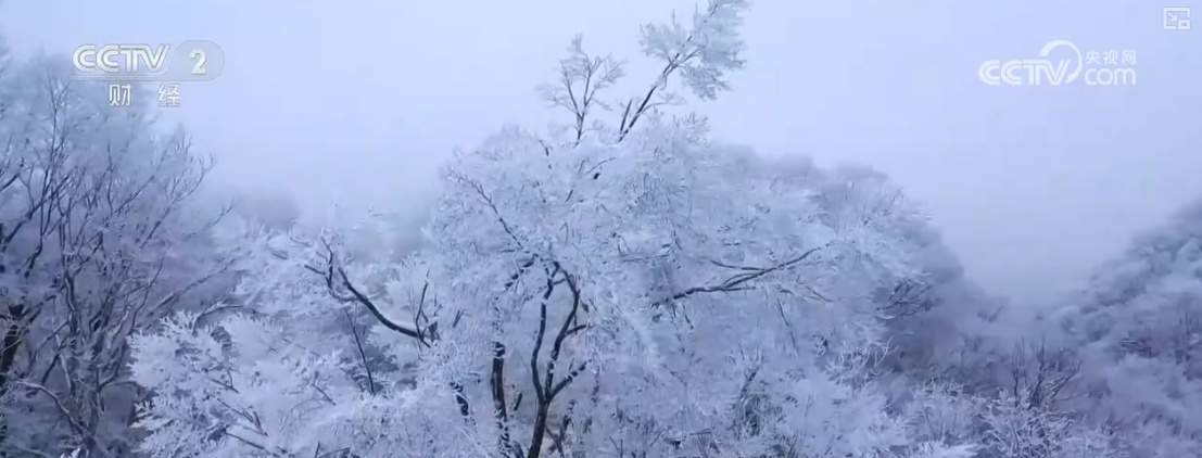 “冷”冰雪盘活“热”经济 冰雪游项目频繁“上新”引客来