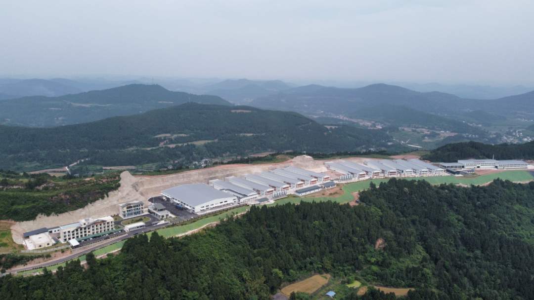 一颗鸡蛋的逆势增长背后：黄天鹅以全产业链定力跑赢市场波动