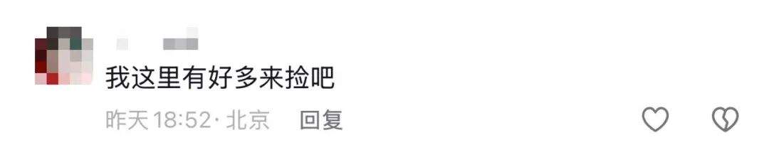 别吃，银杏果有毒！近期济南大量出现，很多人去捡……